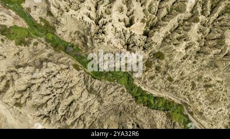 La Paz, Valle de la Luna, formazioni rocciose panoramiche. Bolivia. Sud America Foto Stock