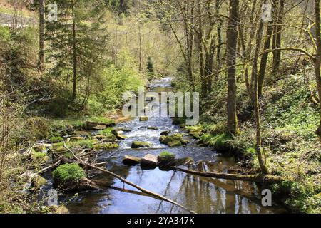 Corso idilliaco del fiume teinach vicino a Bad teinach nella foresta nera Foto Stock