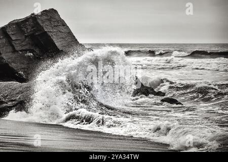 Immagine in bianco e nero di una grande onda che si schianta sulla riva Foto Stock