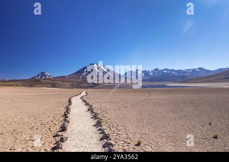 Lagunas Altiplanicas, Miscanti y Miniques, incredibile vista del deserto di Atacama. Cile, Sud America Foto Stock