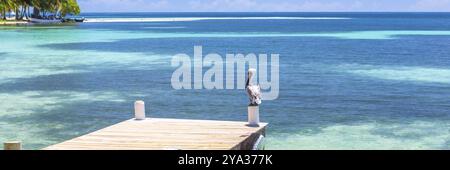 Il Belize, un paradiso tropicale in America centrale. Banner Web in vista panoramica, America centrale Foto Stock