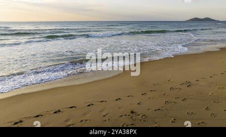 Florianopolis, spiaggia di Campeche all'alba. Brasile. Quartiere di Rio Tavares Foto Stock