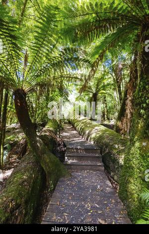 STYX VALLEY, AUSTRALIA, 20 FEBBRAIO 2024: Paesaggio dell'area del fiume Styx della Styx Valley vicino a Maydena nel Southwest National Park, Tasmania, Austr Foto Stock