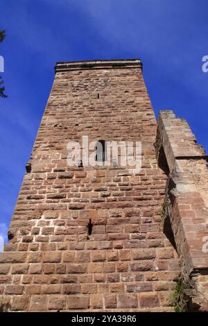 Muro delle rovine del castello di zavelstein vicino a Bad Teinach nella foresta nera Foto Stock