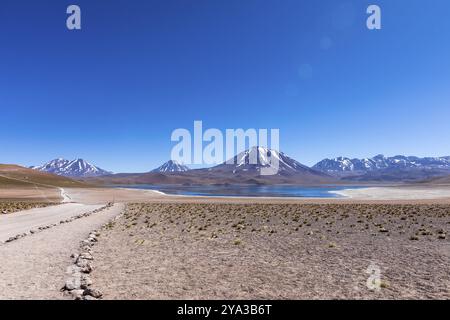 Lagunas Altiplanicas, Miscanti y Miniques, incredibile vista del deserto di Atacama. Cile, Sud America Foto Stock