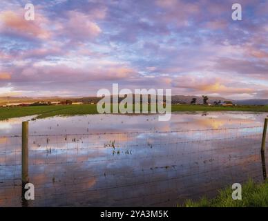 Una recinzione di filo spinato attraversa un pascolo allagato al tramonto, California settentrionale, Stati Uniti, Nord America Foto Stock