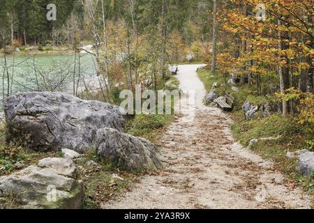 Sentiero escursionistico attraverso la foresta incantata di Hintersee in Baviera con massi provenienti da una frana. Ramsau vicino a Berchtesgaden. Sentiero escursionistico attraverso Foto Stock