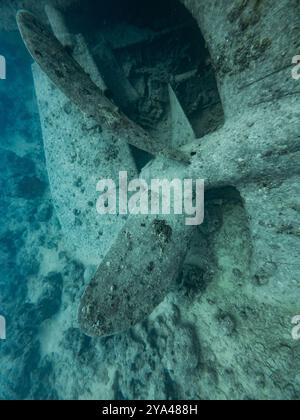 SS Thistlegorm Wreck Propeller di una nave cargo affondata della seconda guerra mondiale nel Mar Rosso, Egitto Foto Stock