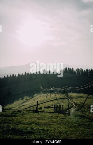 Luce del sole mattutina sulle colline ondulate Foto Stock