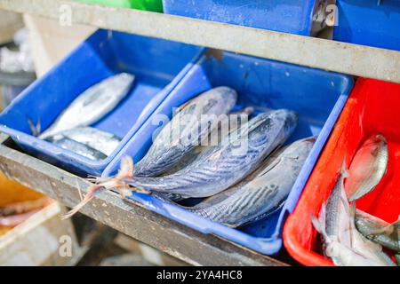 Scopri la vivace e colorata selezione di pesce appena pescato al mercato locale Foto Stock