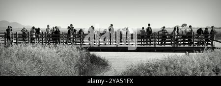 Persone su una passerella di legno che ammirano il paesaggio della baia di Suncheon, provincia di Jeollanamdo, Corea del Sud. Foto Stock
