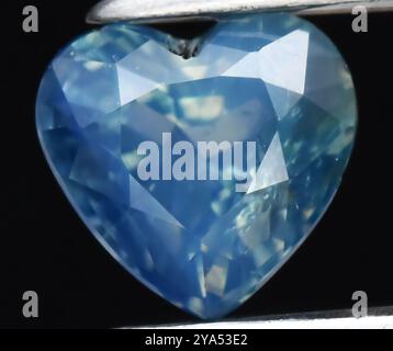 Squisita pietra gemma blu zaffiro a forma di cuore con sfaccettature brillanti. Foto Stock
