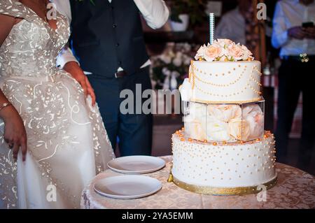 Elegante esposizione di torte nuziali con decorazioni floreali e dettagli scintillanti. Foto Stock