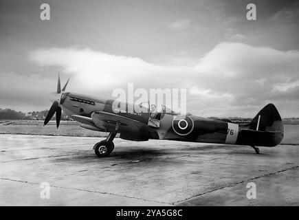 Il Supermarine Spitfire Mark XVI aveva una versione Packard del Merlin 66 conosciuta come Merlin 266 con una vite ad aria a quattro pale. Dei 1.054 prodotti, sono stati utilizzati per la maggior parte nel ruolo di caccia-bombardiere in Europa. Il modello illustrato era apparentemente un dono al re Tupou di Tonga. L'aereo da caccia monoposto britannico fu utilizzato dalla Royal Air Force e da altri paesi alleati prima, durante e dopo la seconda guerra mondiale. Fu l'unico caccia britannico prodotto continuamente durante la guerra, anche se in molti marchi (versioni). Foto Stock