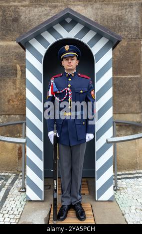 Il Palazzo Presidenziale protegge Praga Repubblica Ceca Foto Stock