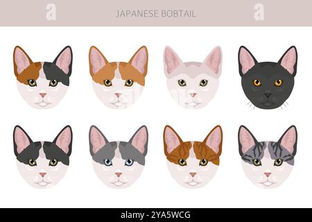 Clipart gatto del Bob giapponese. Infografica sulle caratteristiche di tutte le razze di gatto. Illustrazione vettoriale Illustrazione Vettoriale