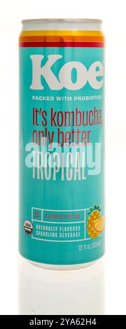 Winneconne, WI - 3 agosto 2024: Una lattina di Koe piena di probiotici, la sua kombucha solo una migliore bevanda tropicale su uno sfondo isolato. Foto Stock