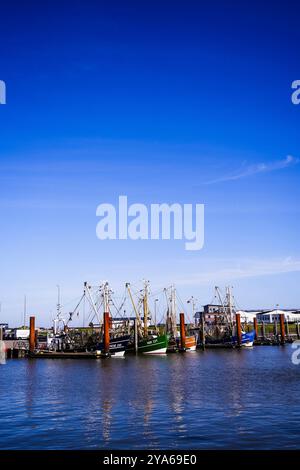 Norddeich, Frisia Orientale, Germania. Barche per gamberetti nel porto di Norddeich in una giornata di sole d'autunno. 6 ottobre 2024 Foto Stock