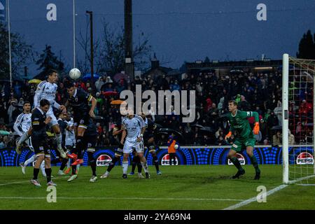 Aarau, Svizzera. 12 ottobre 2024. Aarau, Svizzera, 12 ottobre 2024: Marcatore Ron Schallenberg (6 Schalke) durante l'amichevole tra FC Aarau e FC Schalke 04 al Bruegglifeld di Aarau, Svizzera. Philipp Kresnik (Philipp Kresnik/SPP) credito: SPP Sport Press Photo. /Alamy Live News Foto Stock