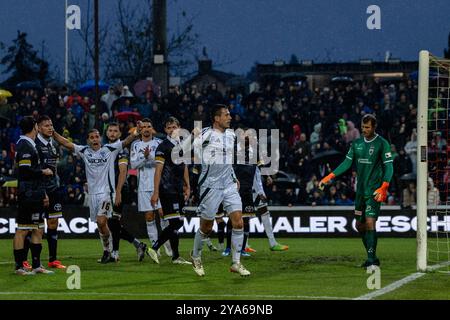 Aarau, Svizzera. 12 ottobre 2024. Aarau, Svizzera, 12 ottobre 2024: Marcatore Ron Schallenberg (6 Schalke) durante l'amichevole tra FC Aarau e FC Schalke 04 al Bruegglifeld di Aarau, Svizzera. Philipp Kresnik (Philipp Kresnik/SPP) credito: SPP Sport Press Photo. /Alamy Live News Foto Stock