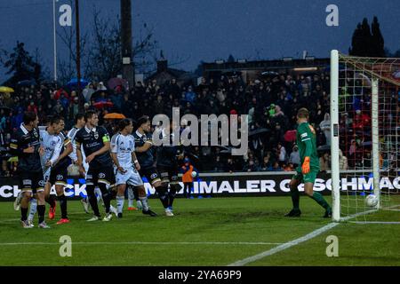 Aarau, Svizzera. 12 ottobre 2024. Aarau, Svizzera, 12 ottobre 2024: Marcatore Ron Schallenberg (6 Schalke) durante l'amichevole tra FC Aarau e FC Schalke 04 al Bruegglifeld di Aarau, Svizzera. Philipp Kresnik (Philipp Kresnik/SPP) credito: SPP Sport Press Photo. /Alamy Live News Foto Stock