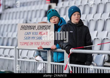 REYKJAVIK, ISLANDA - 11 OTTOBRE 2024: Tifosi durante la partita della UEFA Nations League 2025 tra Islanda e Galles allo stadio Laugardalsvöllur l'11 Foto Stock