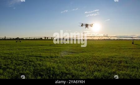 Il drone agro lavora sul campo. Trattamento sul campo con sostanze chimiche. Irrorazione di pesticidi contro i parassiti. Innovazioni nel settore agricolo. Foto Stock