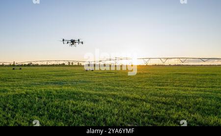 Il drone agro lavora sul campo. Trattamento sul campo con sostanze chimiche. Irrorazione di pesticidi contro i parassiti. Innovazioni nel settore agricolo. Foto Stock