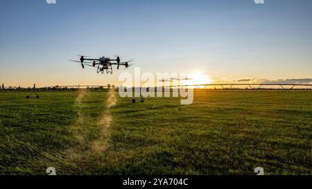 Il drone agro lavora sul campo. Trattamento sul campo con sostanze chimiche. Irrorazione di pesticidi contro i parassiti. Innovazioni nel settore agricolo. Foto Stock