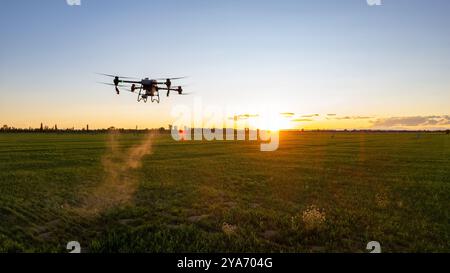 Il drone agro lavora sul campo. Trattamento sul campo con sostanze chimiche. Irrorazione di pesticidi contro i parassiti. Innovazioni nel settore agricolo. Foto Stock