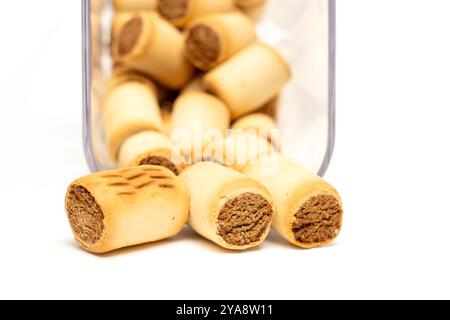 Contenitore trasparente con biscotti per cani isolati su sfondo bianco. I dolcetti per cani sotto forma di biscotti con ripieno sono sparsi su un backgrou bianco Foto Stock