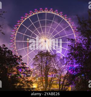 Una grande ruota panoramica illuminata con luci colorate contro il cielo notturno e circondata da alberi, Cannstadter Volksfest, Stoccarda-Bad Cannstadt, Foto Stock