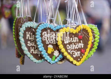 Cuori di pan di zenzero con glassa colorata, esposti in un festival con l'iscrizione "Mein gehoert dir", Cannstadter Volksfest, Stoccarda-Bad Cannsta Foto Stock