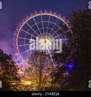 Una grande ruota panoramica illuminata con luci colorate contro il cielo notturno e circondata da alberi, Cannstadter Volksfest, Stoccarda-Bad Cannstadt, Foto Stock