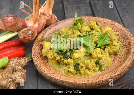 Ayam rica-rica,cucina speciale da Manado, Indonesia il pollo con il condimento piccante Foto Stock