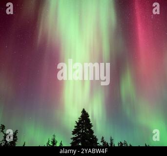 aurora boreale nelle cascate nord durante la tempesta solare 10-10-2024 Foto Stock