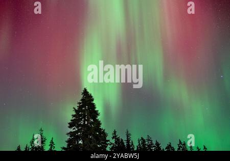 aurora boreale nelle cascate nord durante la tempesta solare 10-10-2024 Foto Stock