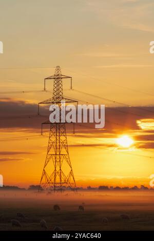 Inghilterra, Kent, Romney Marsh, Dawn with Electricity Pylon e Sheep in Misty Field Foto Stock