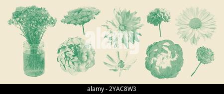 Set di fiori fotocopie retrò. Rosa, camomilla, fiore del prato, trifoglio, fiordaliso. Effetto stipple vintage mezzitoni Illustrazione Vettoriale