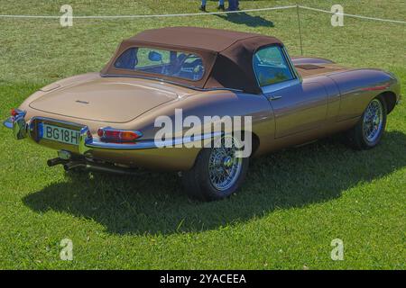 Classica jaguar e TYPE serie 1 convertibile in oro con la sua capote parcheggiata sull'erba Foto Stock