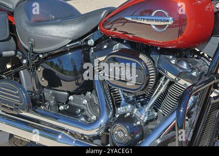 Primo piano del motore milwaukee Eight 114, che alimenta una moderna motocicletta harley davidson, sfoggia un design e una cura artigianale impressionanti Foto Stock