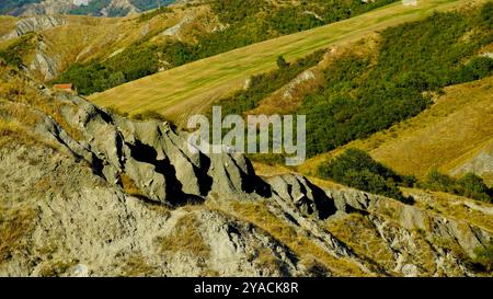 Panorama delle colline emiliane e dei calanchi con esemplari di mucche bianche modenesi Foto Stock