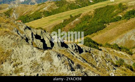 Panorama delle colline emiliane e dei calanchi con esemplari di mucche bianche modenesi Foto Stock