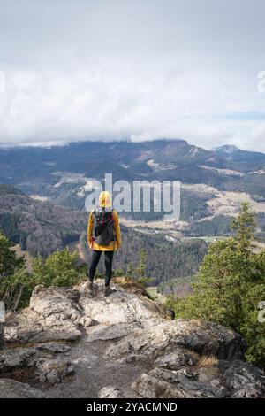 Escursionista femminile sulla cima della montagna godendosi la vista sul paesaggio sottostante, scatto verticale Foto Stock