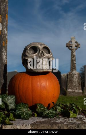 Teschio sulla parte superiore di una zucca al cimitero, carta da parati del cimitero di hallowen Foto Stock