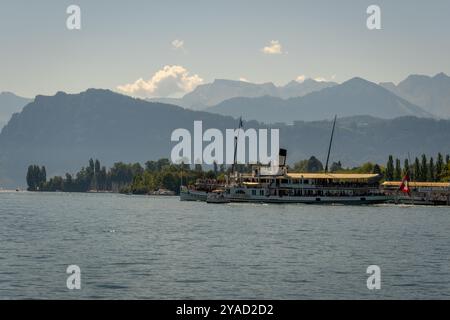 THUN. SVIZZERA - il battello a vapore Bluemlisalp che naviga sul lago di Thun, Svizzera Foto Stock