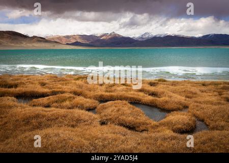 Lago Sasykkul o lago Sasyk-kul nella regione di Murghab. Il lago Chukurkul si trova sulla Pamir Highway vicino al villaggio di Alichur in Tagikistan. Foto Stock