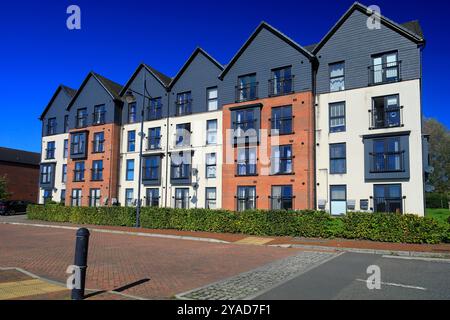 Nuovo sviluppo abitativo nella zona di Old Barry Dock, Barry, Galles del Sud, Regno Unito. Presa ottobre 2024 Foto Stock