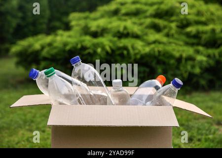 Riciclaggio. Bottiglie di plastica in scatola di cartone all'aperto Foto Stock