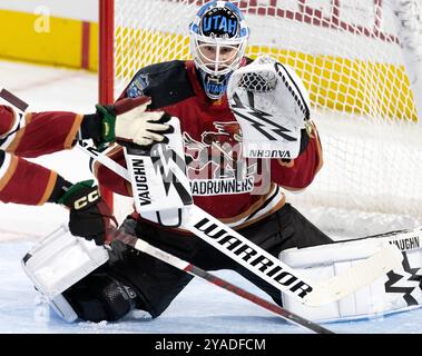 13 ottobre 2024, Loveland, Colorado, USA: Roadrunners G JAXSON STAUBER guarda il disco venire verso di lui durante il 3° Sabato d'epoca alla Blue Arena. I Roadrunners batterono gli Eagles 4-2. (Credit Image: © Hector Acevedo/ZUMA Press Wire) SOLO PER USO EDITORIALE! Non per USO commerciale! Foto Stock